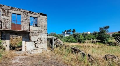 Ferme T1 à Ribamondego de 70 m²