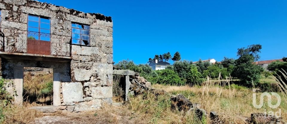 Ferme T1 à Ribamondego de 70 m²