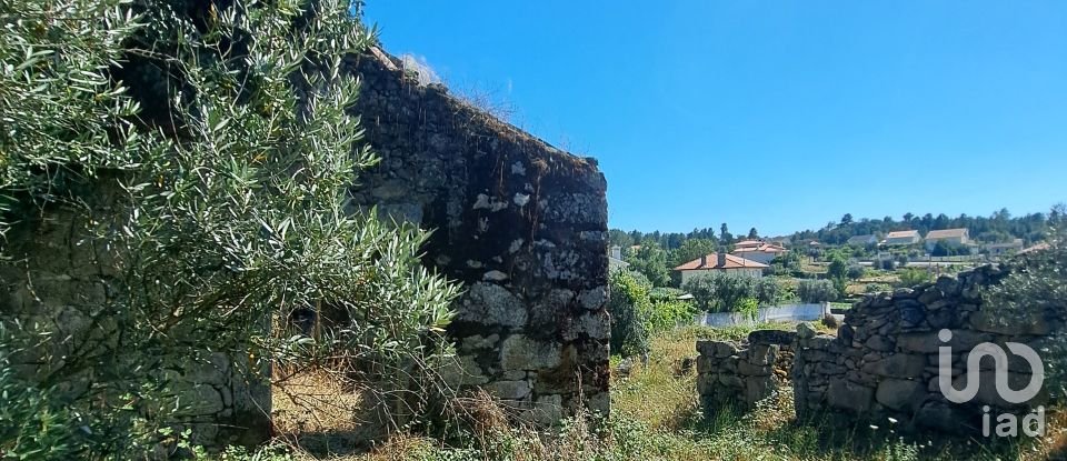 Ferme T1 à Ribamondego de 70 m²