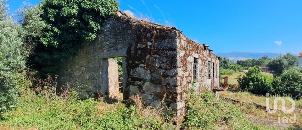 Ferme T1 à Ribamondego de 70 m²