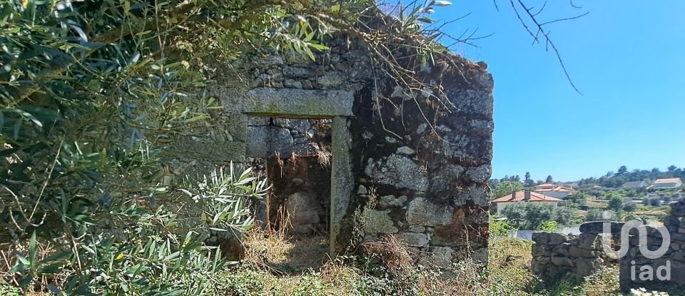 Ferme T1 à Ribamondego de 70 m²