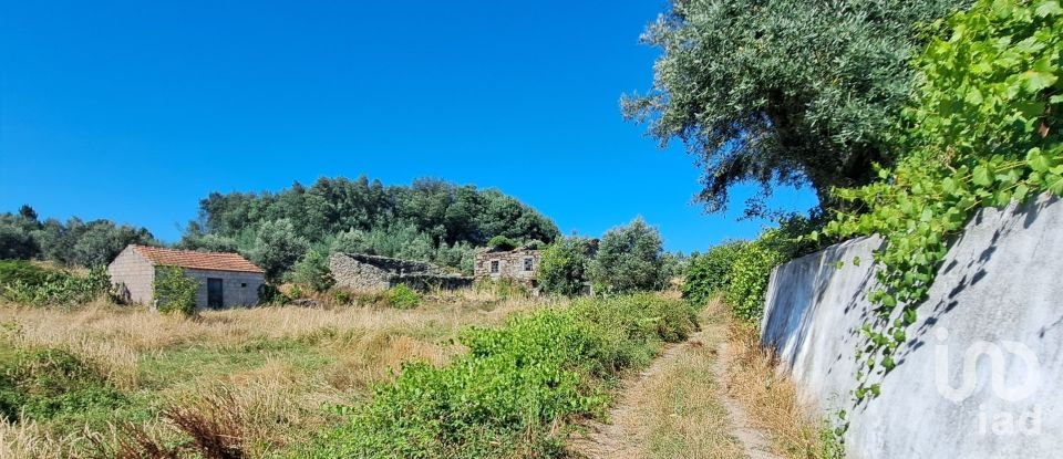 Ferme T1 à Ribamondego de 70 m²