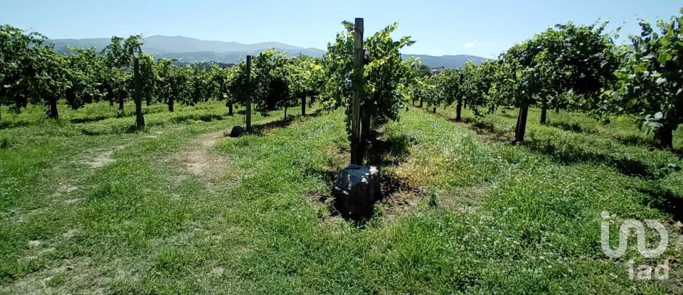 Maison de campagne T0 à Paderne de 70 m²