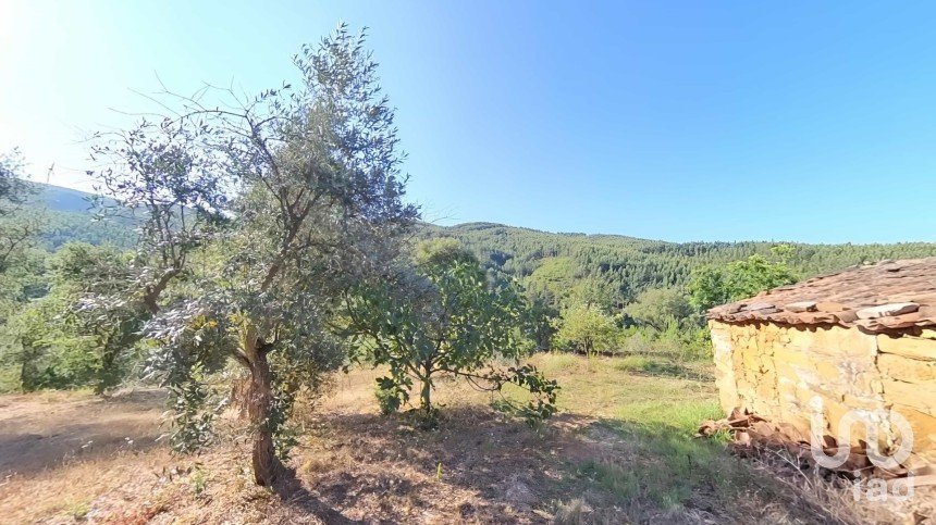 Terreno em Pedrógão Pequeno de 10 398 m²