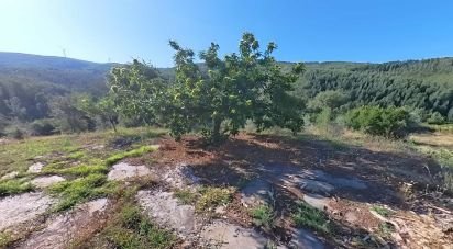 Terreno em Pedrógão Pequeno de 10 398 m²