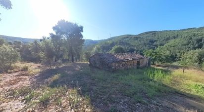 Terreno em Pedrógão Pequeno de 10 398 m²