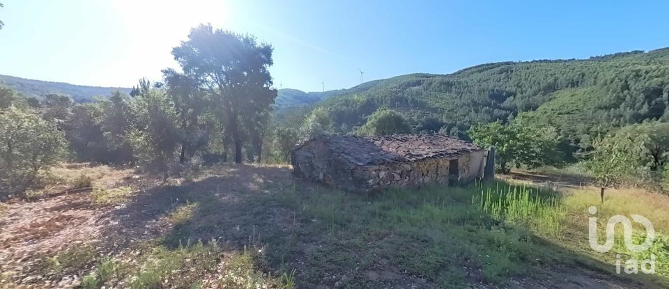 Land in Pedrógão Pequeno of 10,398 m²