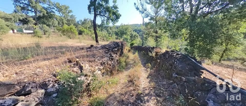 Land in Pedrógão Pequeno of 10,398 m²