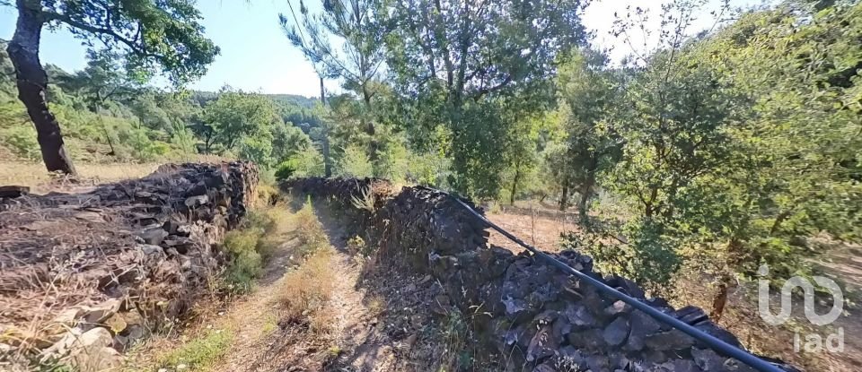 Terreno em Pedrógão Pequeno de 10 398 m²