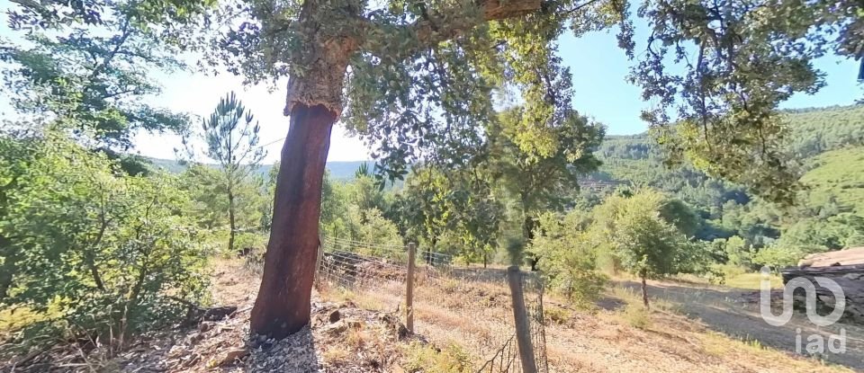 Terreno em Pedrógão Pequeno de 10 398 m²