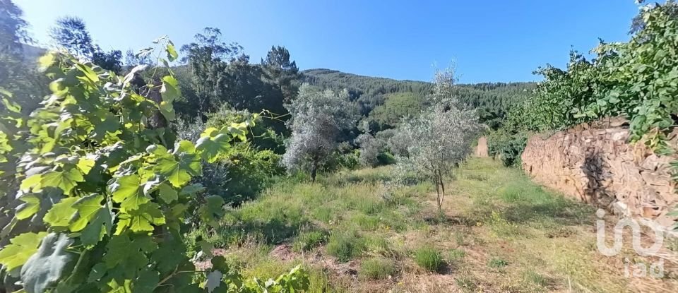 Terreno em Pedrógão Pequeno de 10 398 m²