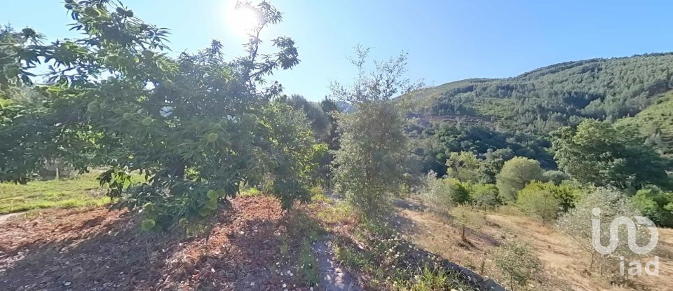 Terreno em Pedrógão Pequeno de 10 398 m²