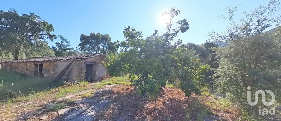 Terreno em Pedrógão Pequeno de 10 398 m²