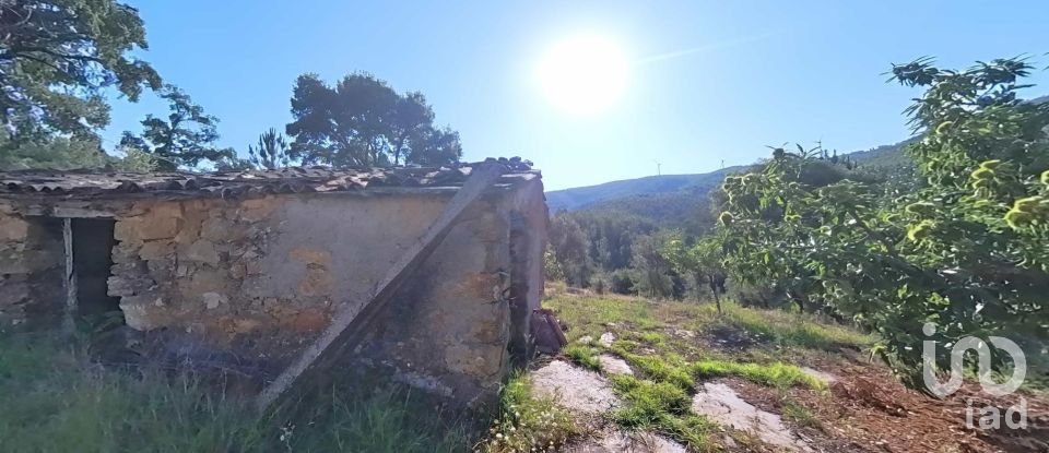 Terreno em Pedrógão Pequeno de 10 398 m²