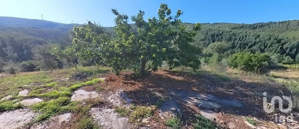 Terrain à Pedrógão Pequeno de 10 398 m²