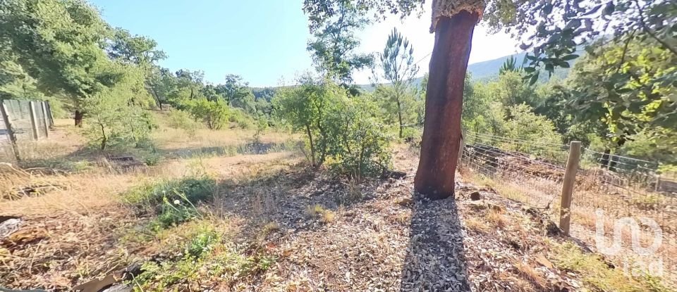 Terreno em Pedrógão Pequeno de 10 398 m²