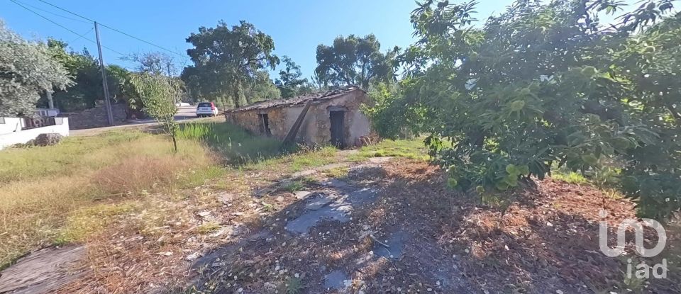 Terreno em Pedrógão Pequeno de 10 398 m²