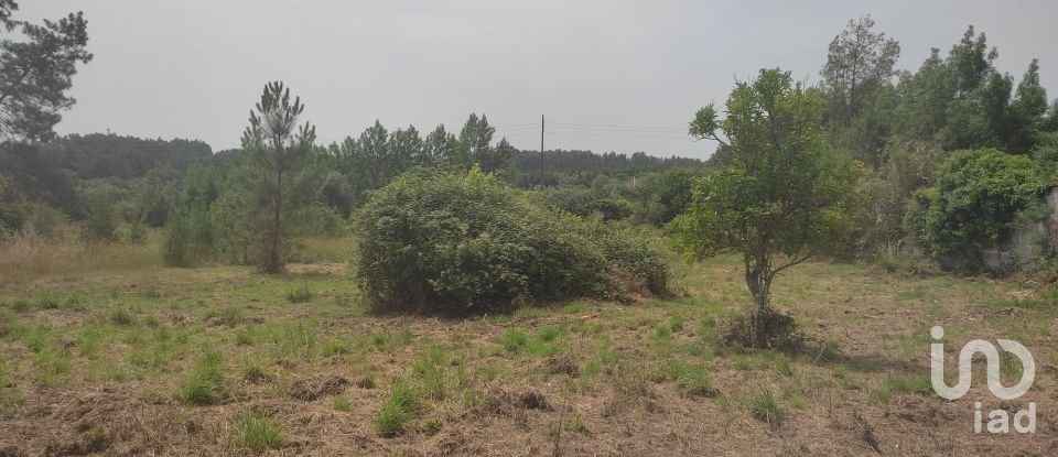 Quinta T3 em Nossa Senhora do Pranto de 267 m²