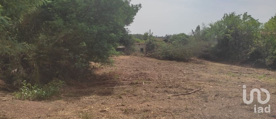 Ferme T3 à Nossa Senhora do Pranto de 267 m²