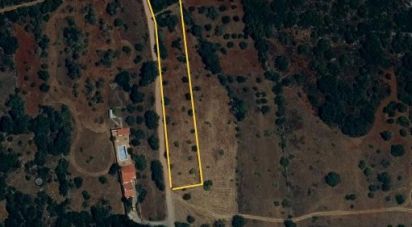 Land in São Brás de Alportel of 3,320 m²