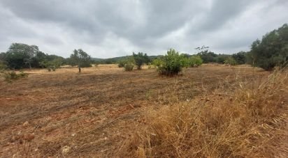 Terreno em São Brás de Alportel de 3 320 m²