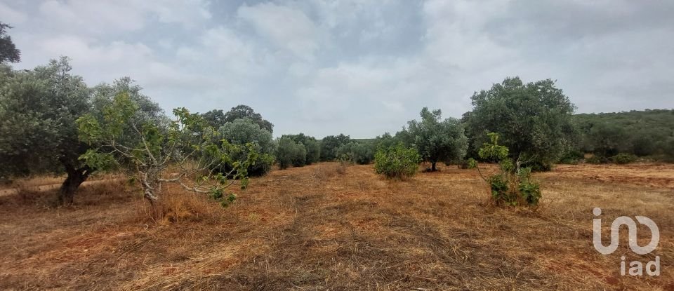 Terrain à São Brás de Alportel de 3 320 m²