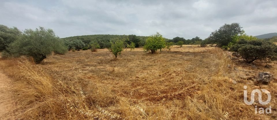 Terreno em São Brás de Alportel de 3 320 m²