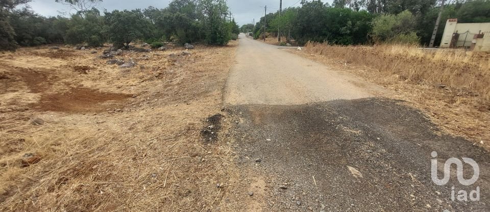 Terreno em São Brás de Alportel de 3 320 m²