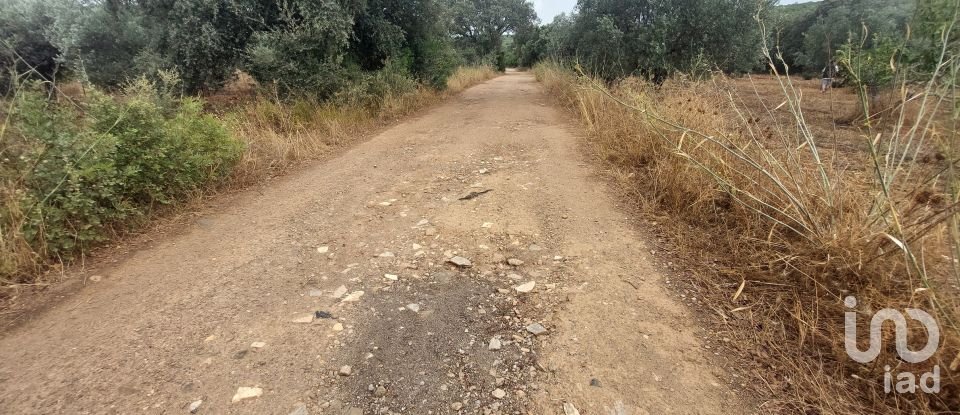 Terreno em São Brás de Alportel de 3 320 m²