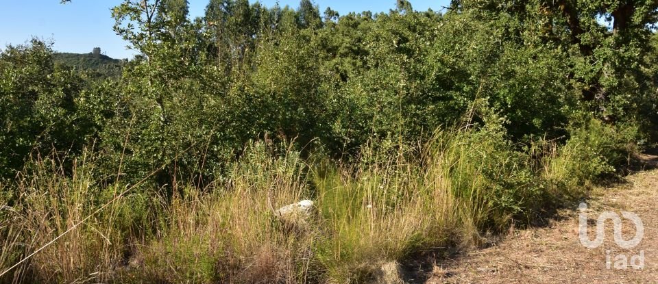 Terreno em Chãos de 2 240 m²