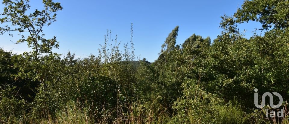 Land in Chãos of 2,240 m²