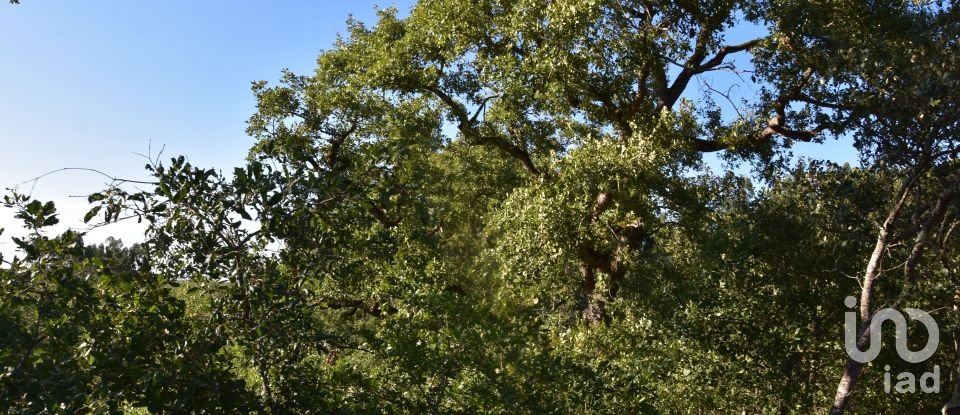 Terreno em Chãos de 2 240 m²