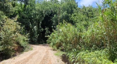 Land in Carvoeira of 875 m²