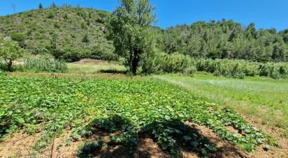 Land in Carvoeira of 875 m²