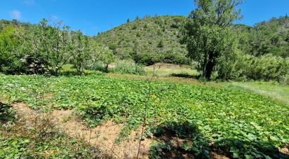 Land in Carvoeira of 875 m²