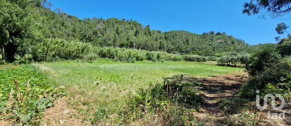 Terrain à Carvoeira de 875 m²