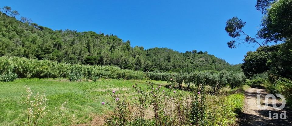 Land in Carvoeira of 875 m²