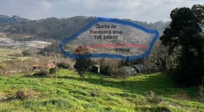 Farm land in Banho e Carvalhosa of 159,460 m²