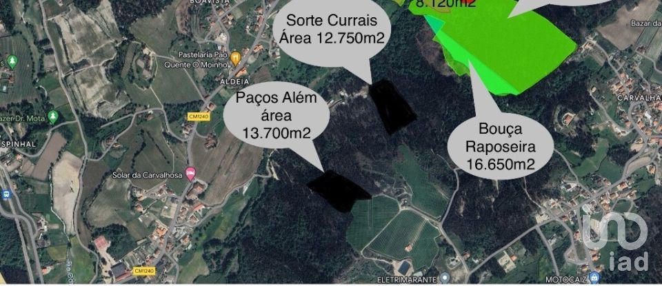 Terreno Agrícola em Banho e Carvalhosa de 159 460 m²