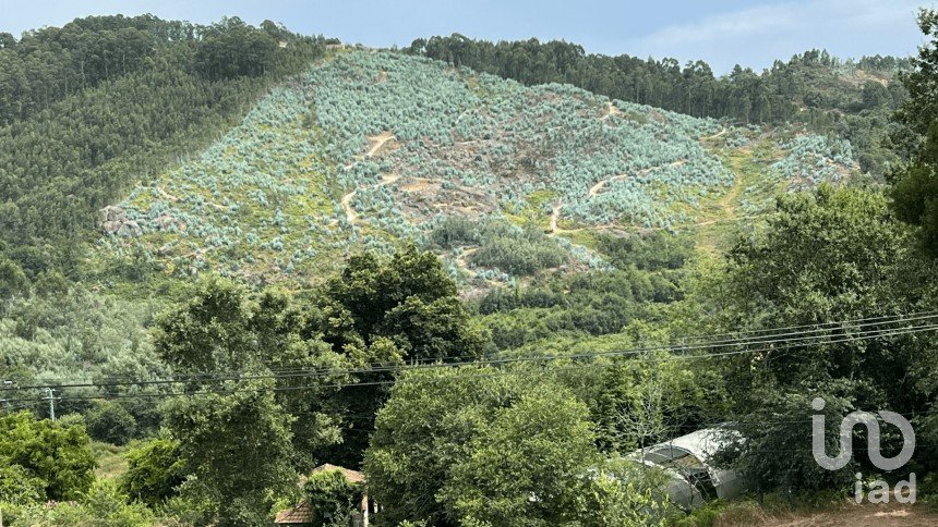 Terrain agricole à Banho e Carvalhosa de 159 460 m²