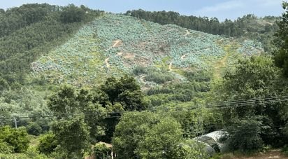 Terrain agricole à Banho e Carvalhosa de 159 460 m²