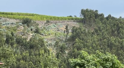 Agricultural land in Banho e Carvalhosa of 159,460 m²