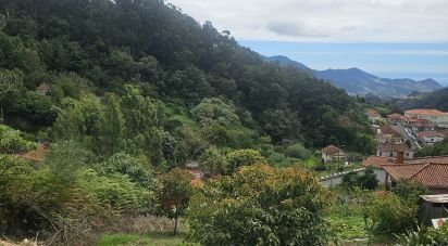 Terreno em Santo António da Serra de 3 940 m²