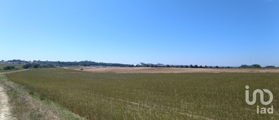 Terreno em Achete, Azoia De Baixo e Póvoa de Santarém de 69 760 m²