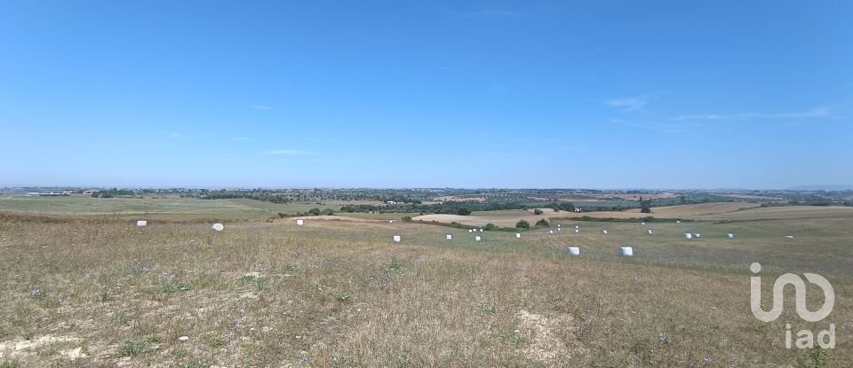 Land in Achete, Azoia De Baixo e Póvoa de Santarém of 69,760 m²