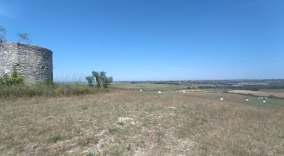 Terreno em Achete, Azoia De Baixo e Póvoa de Santarém de 69 760 m²