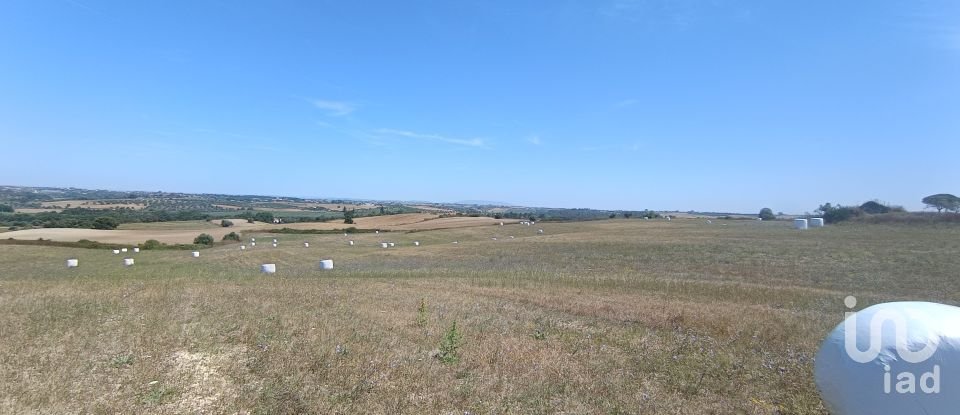 Terreno em Achete, Azoia De Baixo e Póvoa de Santarém de 69 760 m²