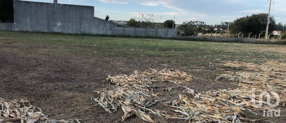 Habitação T4 em Monte Redondo e Carreira de 154 m²