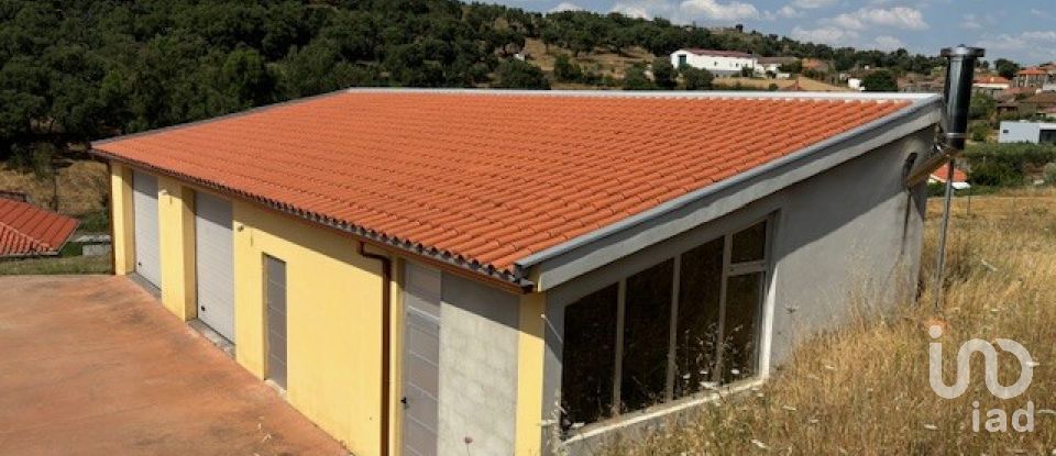 Gîte T0 à Mogadouro, Valverde, Vale de Porco e Vilar de Rei de 285 m²