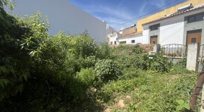 Terreno em Bensafrim e Barão de São João de 391 m²